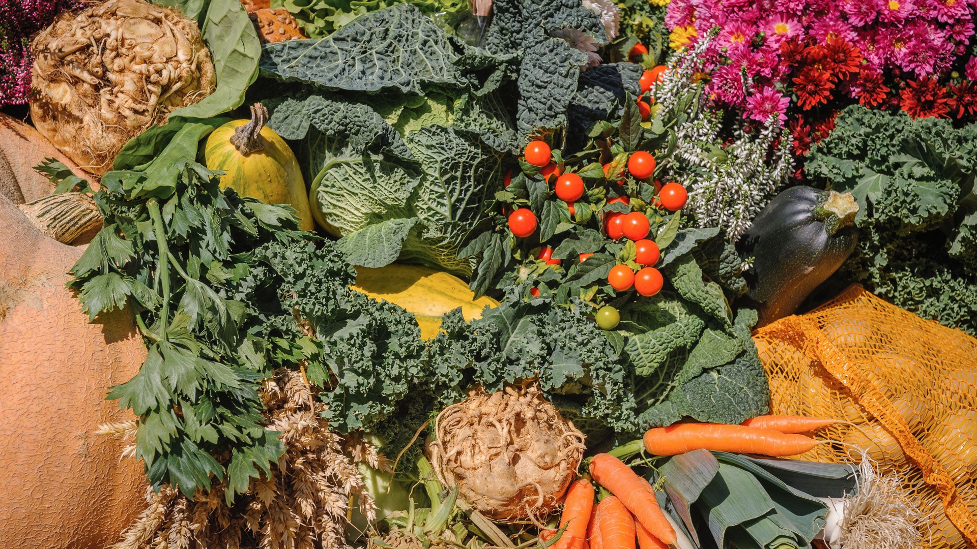 A picture of fresh vegetables