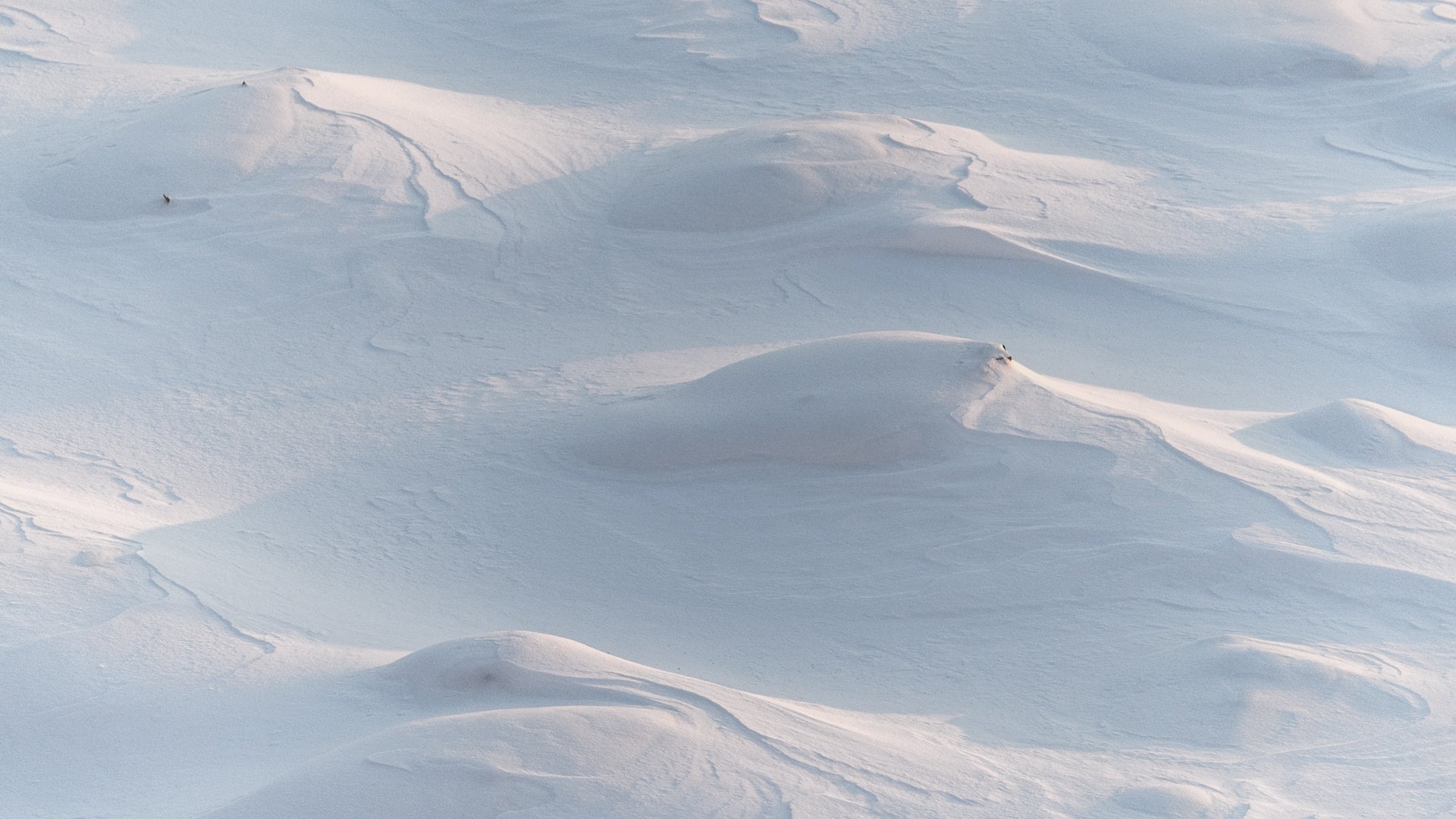 Photo of a icy landscape with wind carrying snow over the hills.
