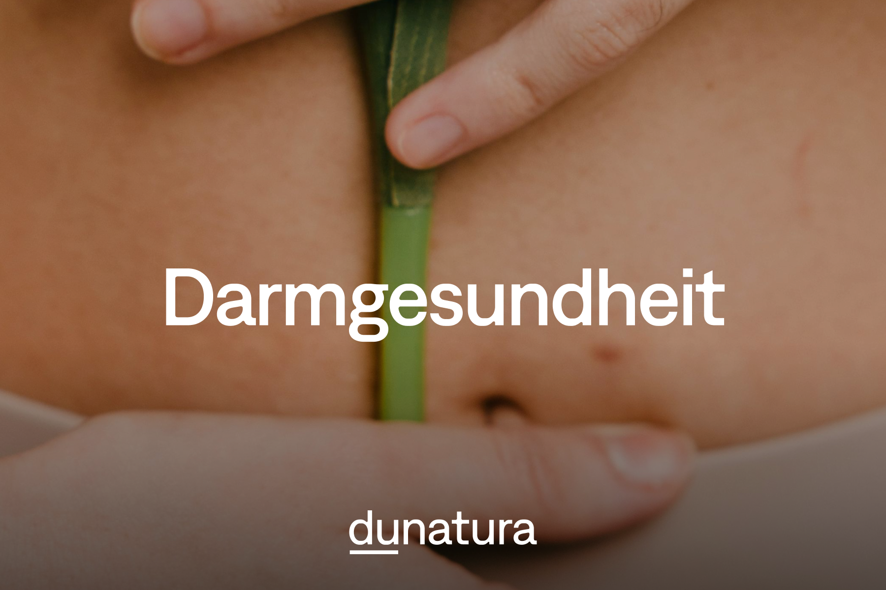 Mikrobiom stärken: So förderst du deine Darmgesundheit
