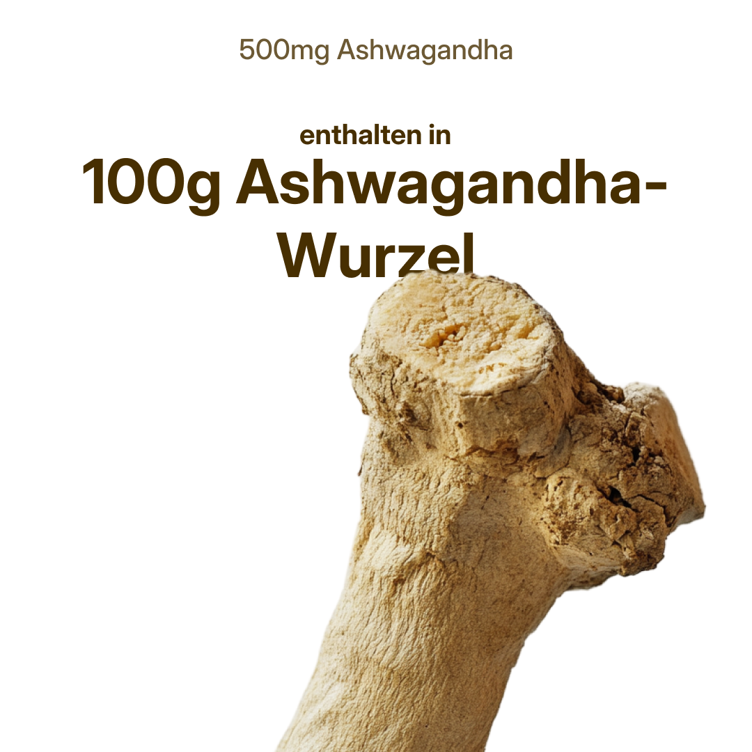 Ashwagandha (500mg) mit 25mg Withanoliden | 56 Kapseln in Glasflasche