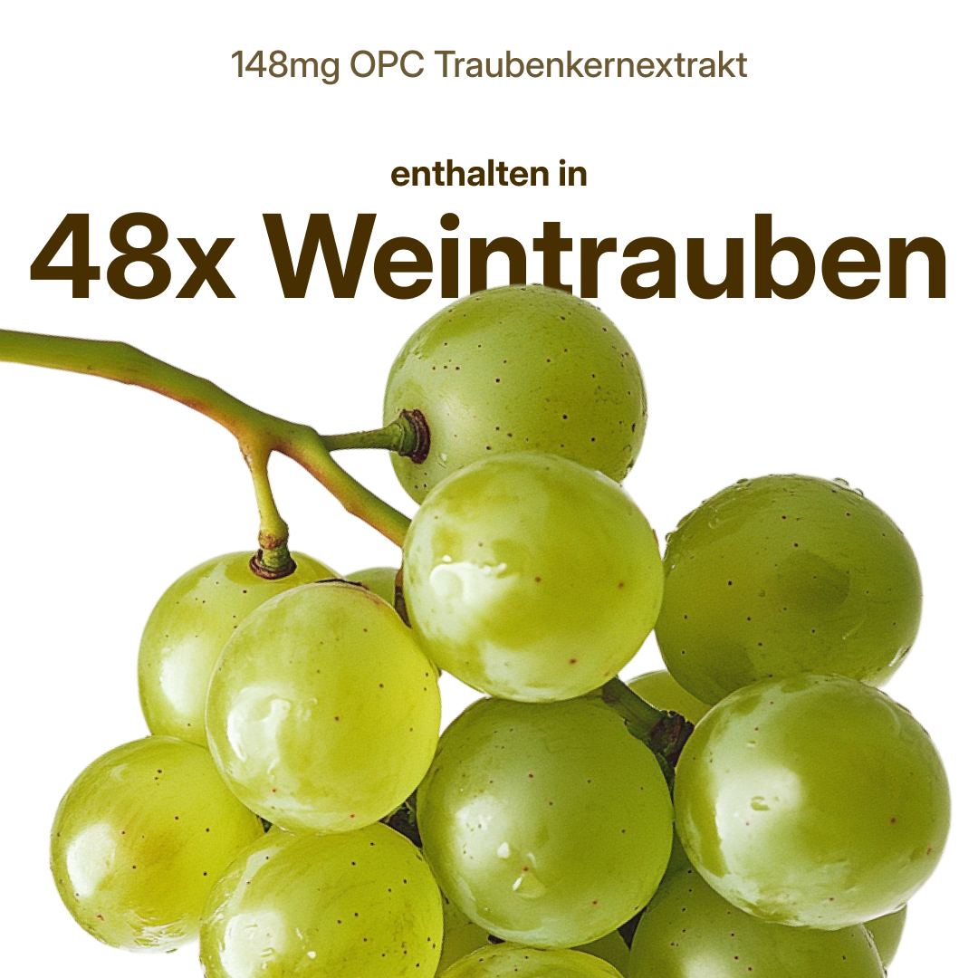 OPC (148 mg aus Traubenkernextrakt) – vegan | 112 Kapseln in Glasflasche