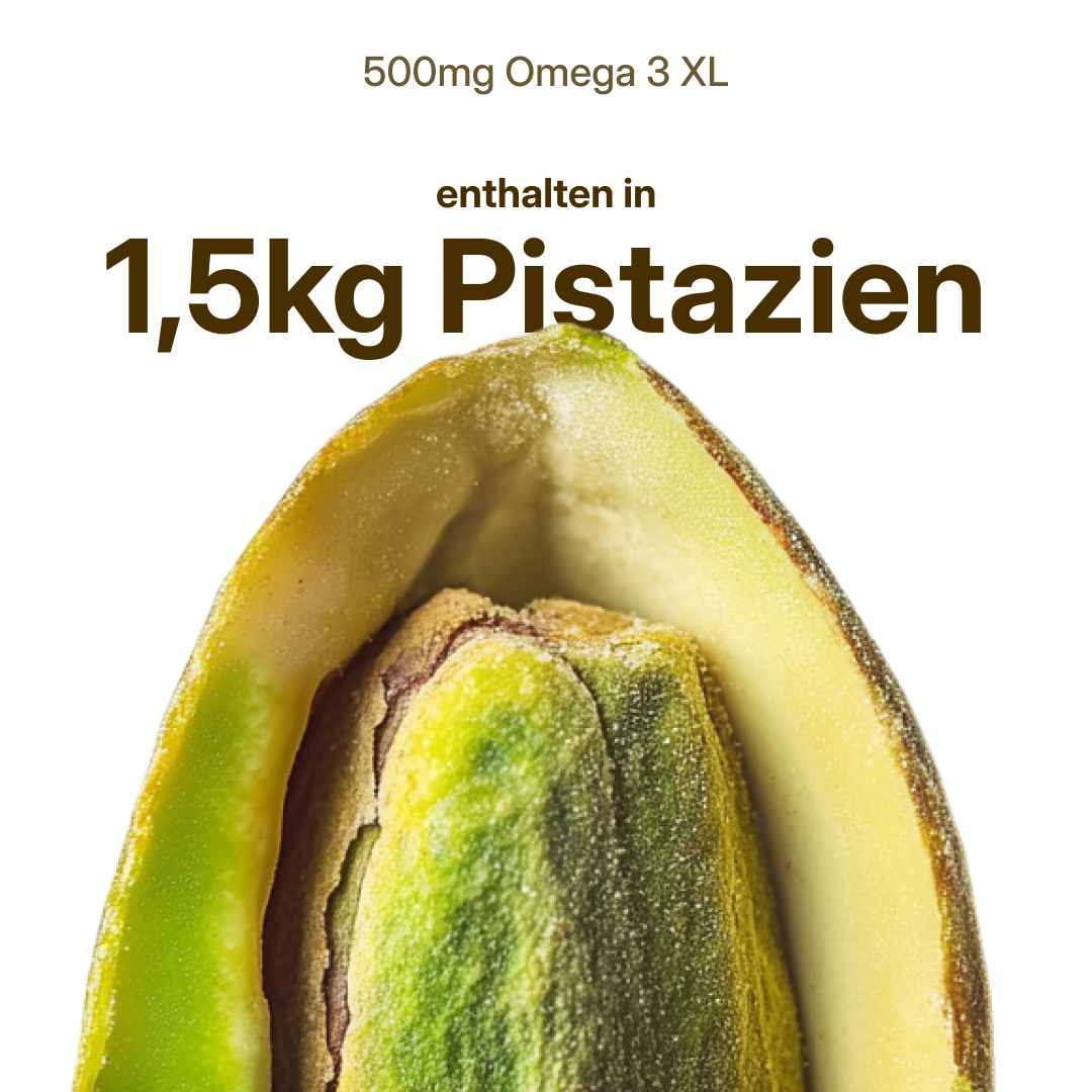 Omega 3 XL (500 mg) – vegan aus Algenöl | 56 Kapseln in Glasflasche